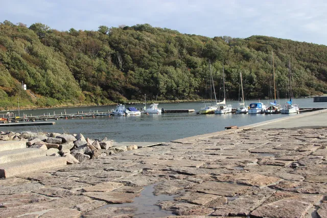 Hammerhavnens Bådfart