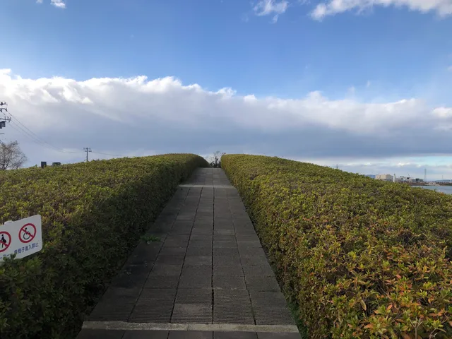 photo-1