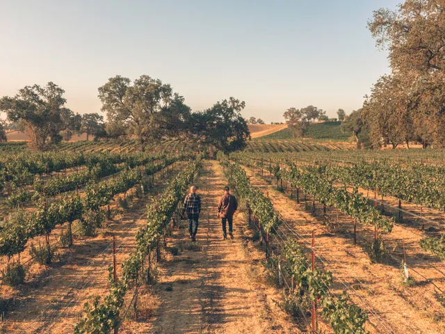 Peachy Canyon Winery Tasting Room