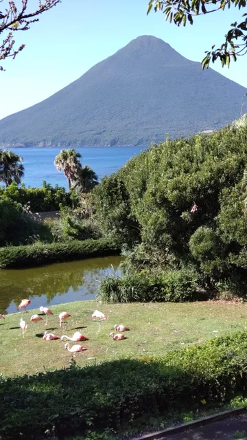 Nagasakibana Parking Garden