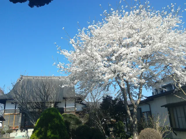 photo-1