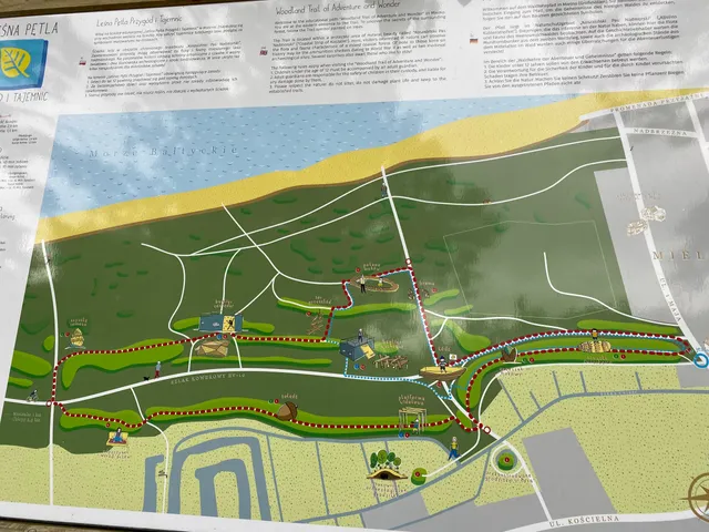 Leśna pętla przygód i tajemnic - wejście