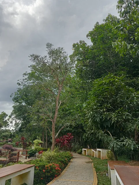 Hutan Kota Pasir Pengaraian