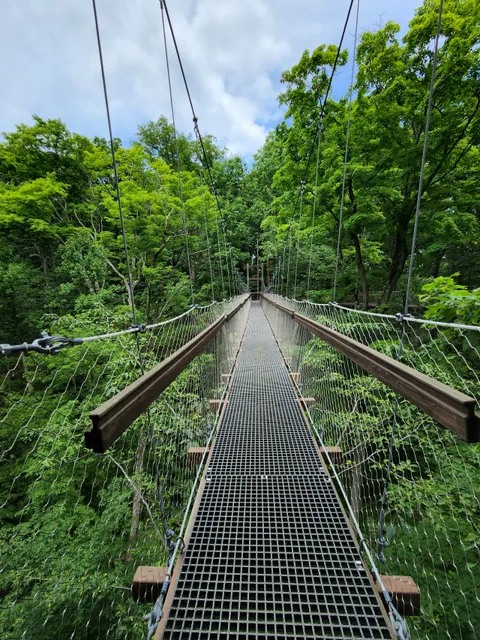 Judith and Maynard H. Murch IV Canopy Walk