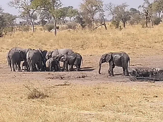 Mudumu National Park