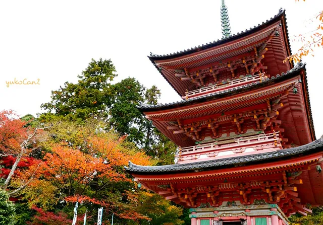 Asakurasan Shinzen'in