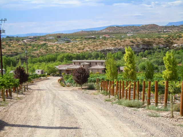 Alcantara Vineyards and Winery