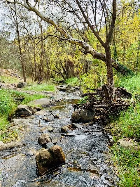 Sturt Gorge Recreation Park