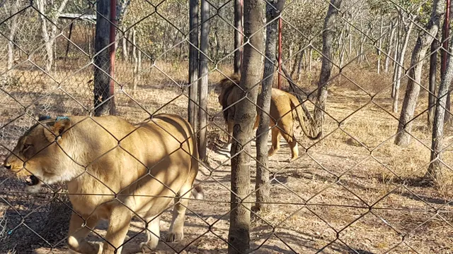 Mashonaland East Province