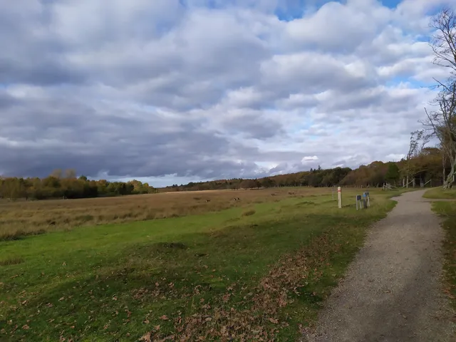 photo-3