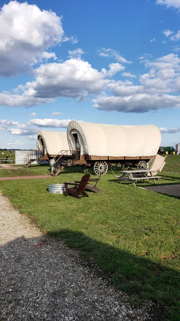 Sunset Hills Bison Ranch
