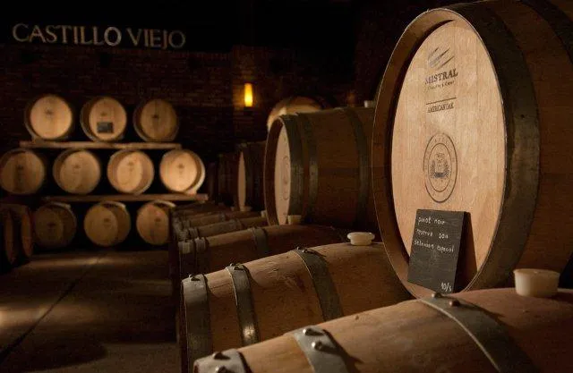 Bodegas Castillo Viejo