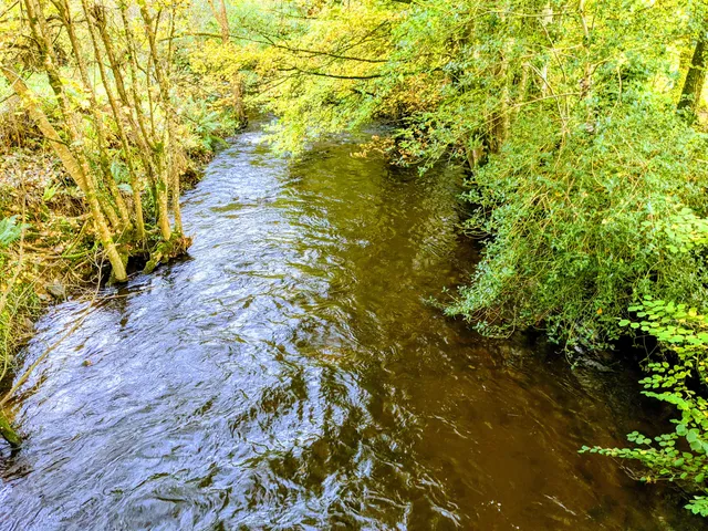Bovey Community Garden