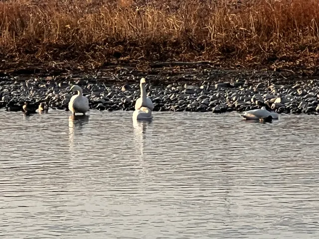 Iwakura Natural Park