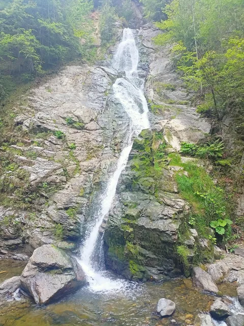 Cheile Lotrișorului