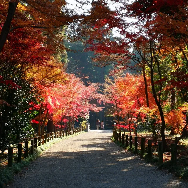 Heirin-ji Precinct Forest