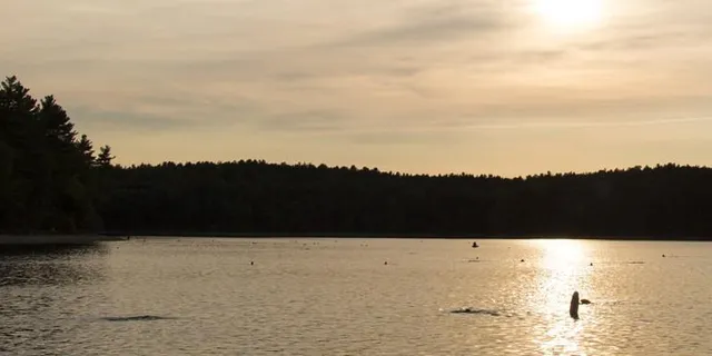 Hampton Ponds State Park
