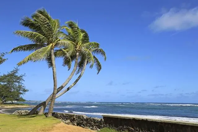 Hau'ula Beach Park