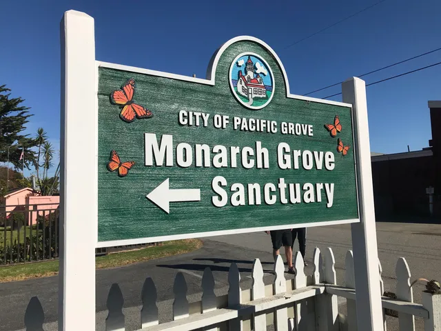 Monarch Butterfly Sanctuary