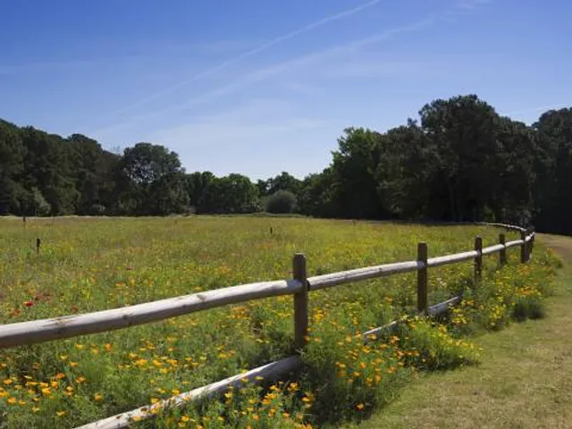 Sea Pines Forest Preserve