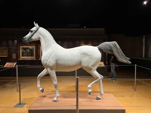 Arabian Horse Gallery