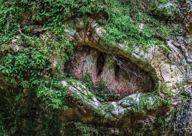 Gran Parque Natural Topes de Collantes