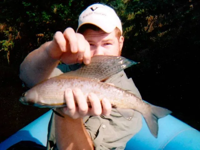 Alaska Wilderness Enterprises