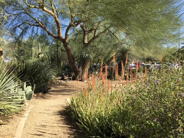Glendale Xeriscape Garden