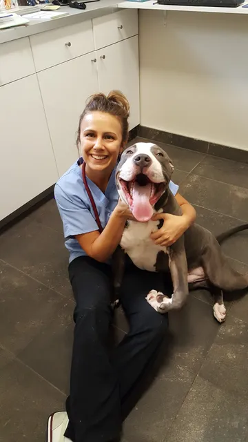 Park Slope Veterinary Center