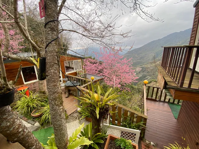 光明休閒農場烤雞