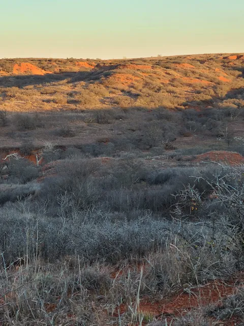 Black Kettle National Grasslands