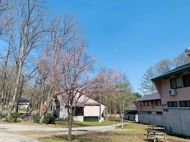 長野キャンプ コテージ ラボランドくろひめ