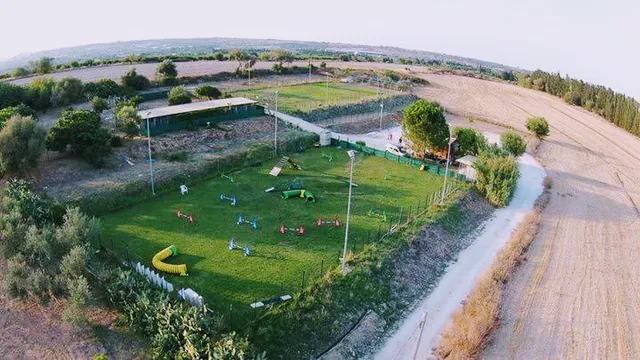 Into The Wild Dog Village