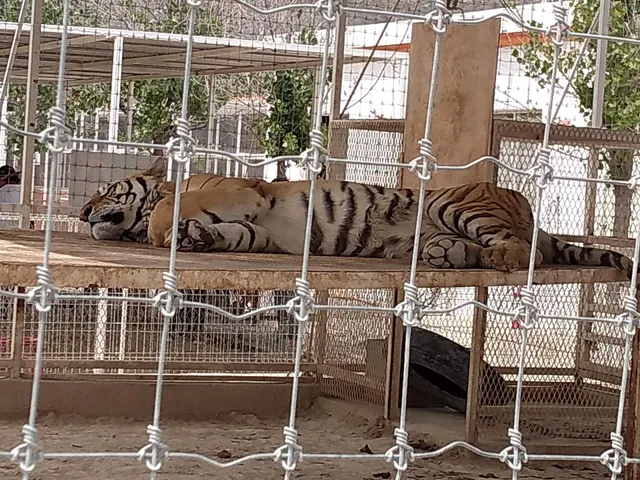 Centro Recreativo El Ranchito Safari mini zoológico