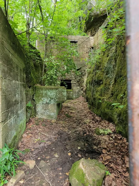 Welch Spring Hospital Ruins
