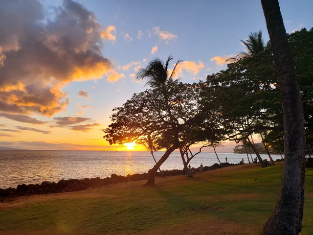 Turtle Rock by the Post Office