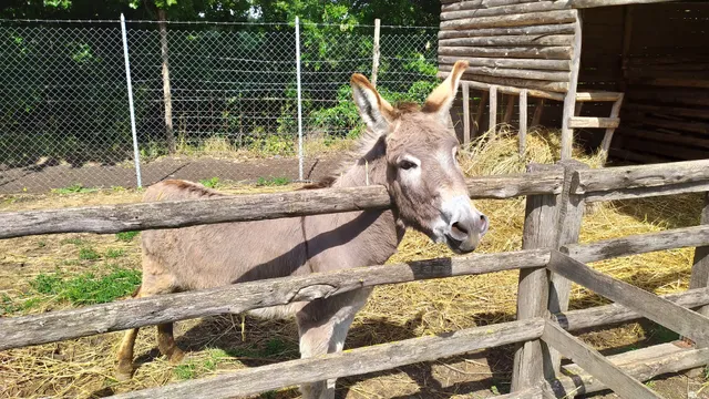 VoloAlto Nature Park