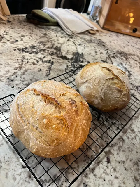 For the Love of Sourdough: A Desert Organic Sourdough House