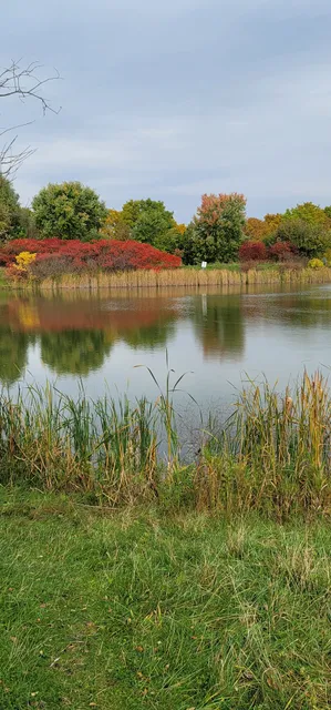 Aurora Community Arboretum path