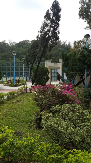 photo-2