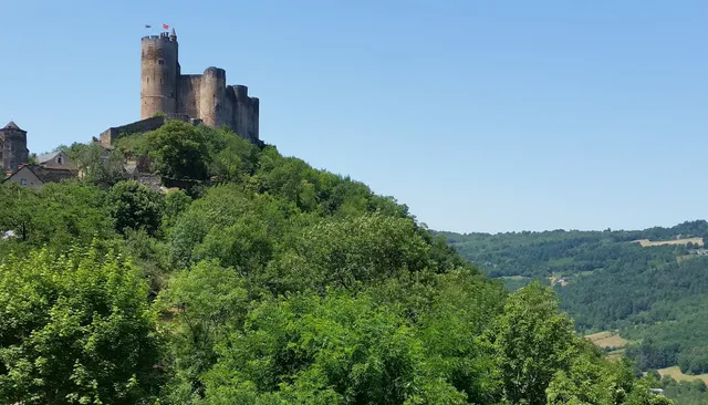 Combe de Gabriel - Chambres d'hôtes à Cordes-sur-Ciel