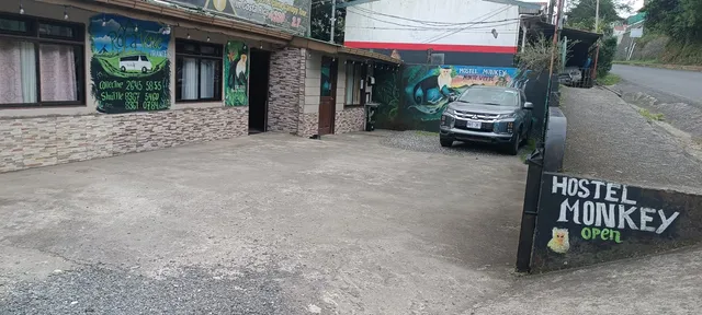 Monkey hostel