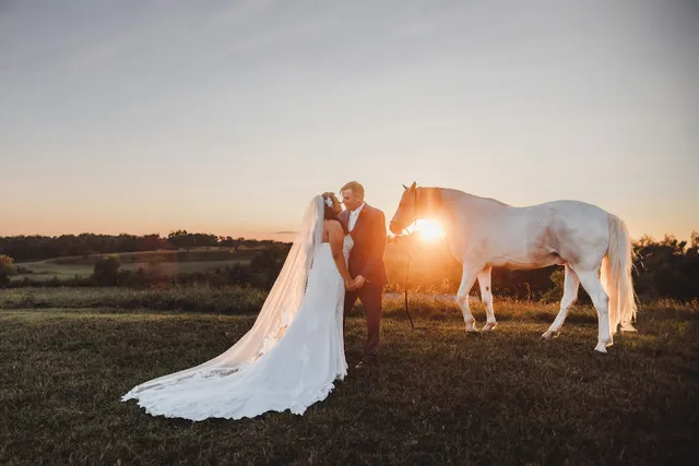 Beau Cheval in Wartrace