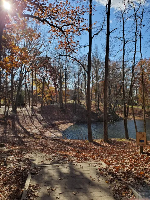 Stafford Woods Disc Golf Course