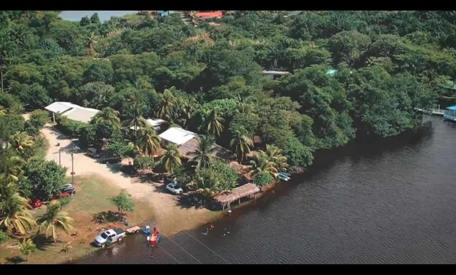 Bar y Restaurante El Delfin