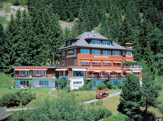 Hotel Bergsonne Rigi