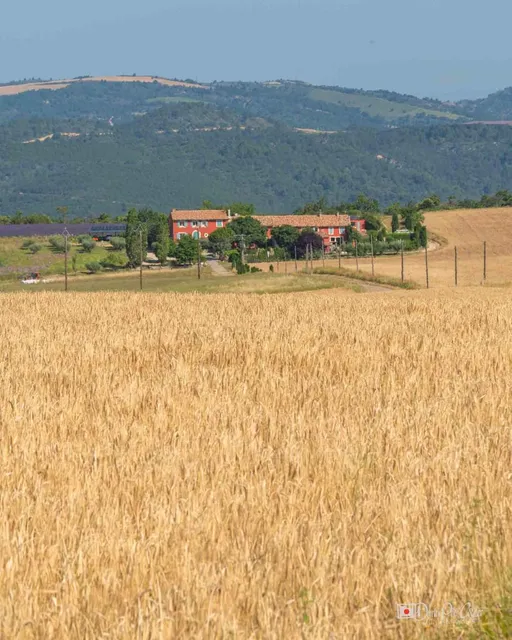 Les gîtes de Molans "Grand Jas des lavandes"