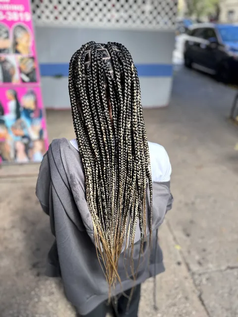 Leila’s African Hair Braiding