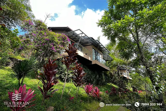 Tea Terrain Resorts and Spa