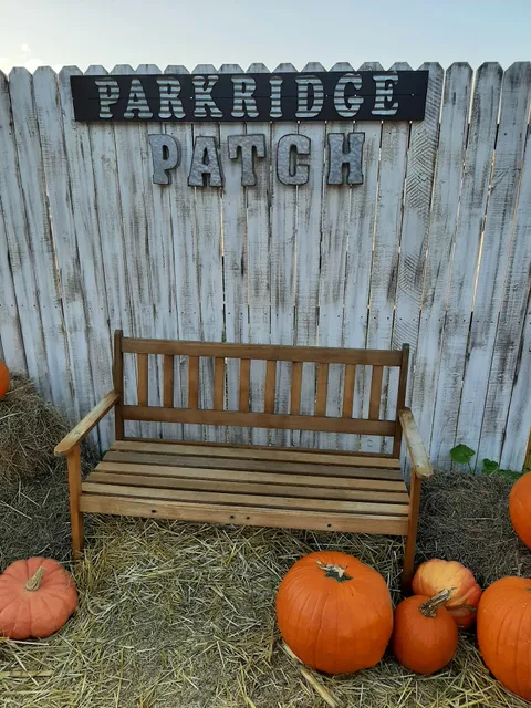Parkridge Patch